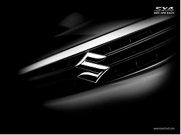 Suzuki-Logo new
