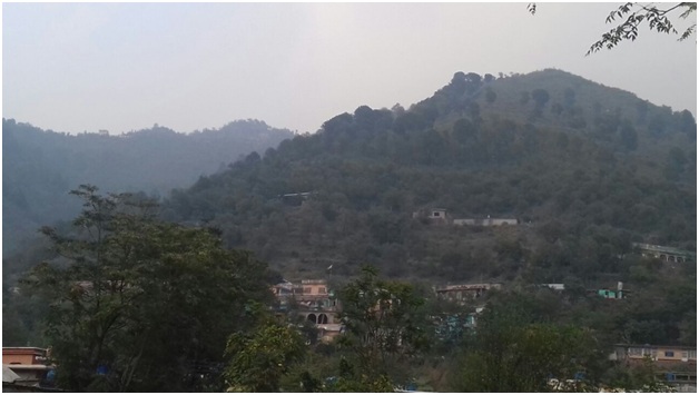 Dark Circle Treatment